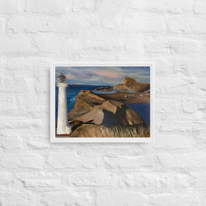 Framed canvas